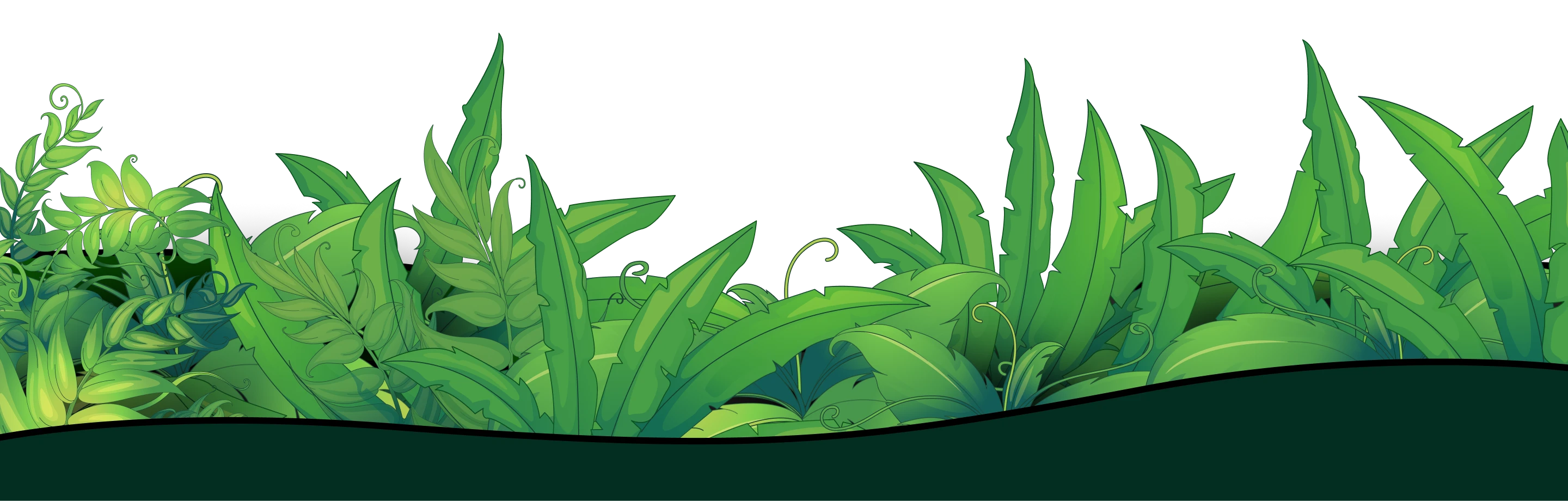 BG